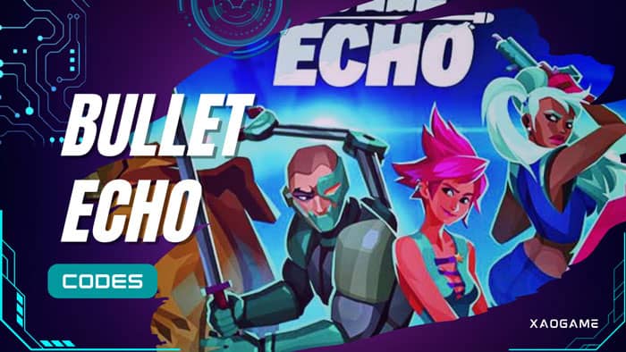 Bullet Echo Codes